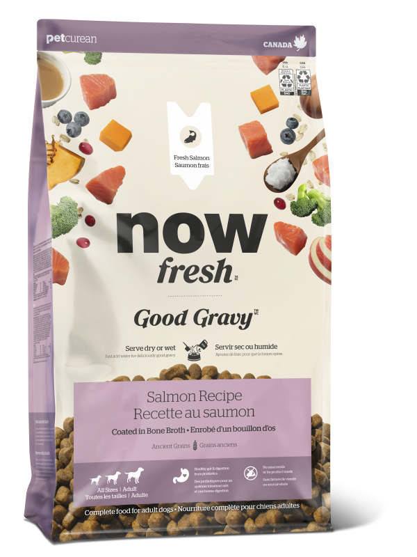 NOW Dog Good Gravy Adult Salmon