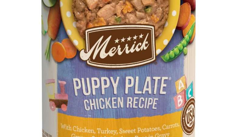 Merrick Dog Chicken Recipe Puppy Plate Wet Food