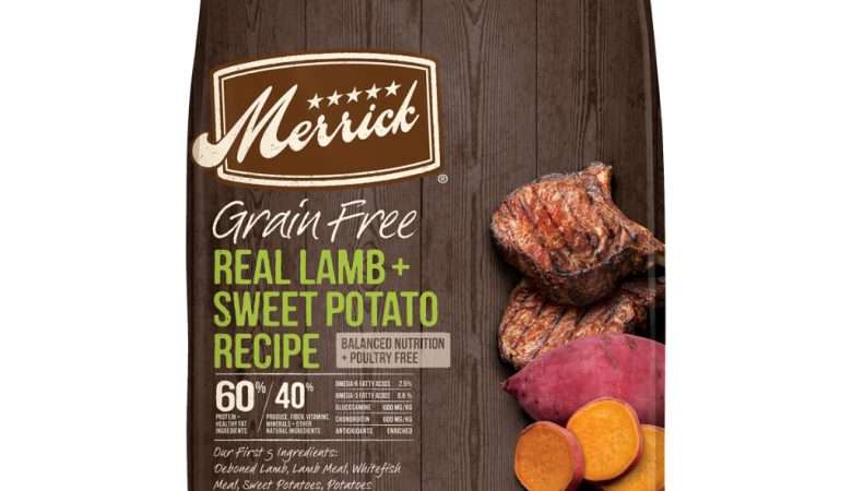 Merrick Grain Free Lamb & Sweet Potato