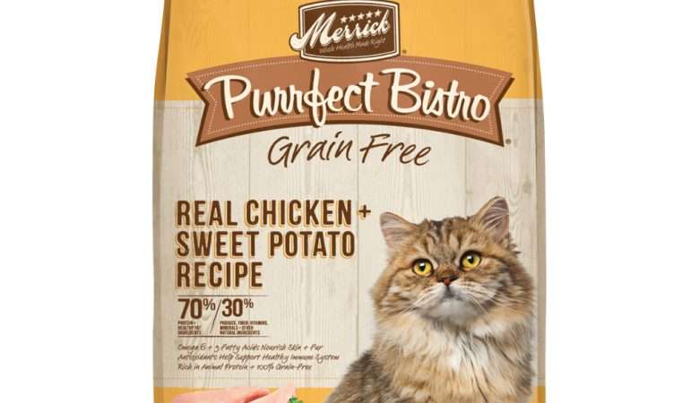 Merrick Cat Real Chicken Recipe