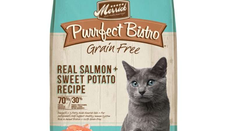 Merrick Cat Real Salmon Recipe
