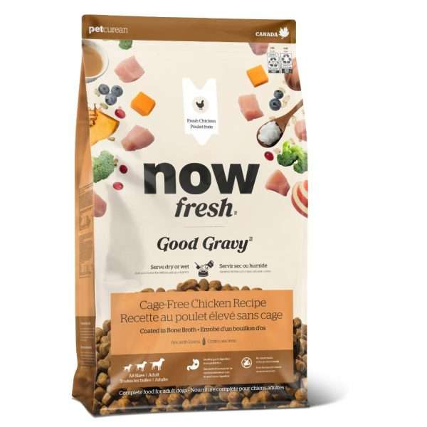NOW Dog Good Gravy Adult Chicken