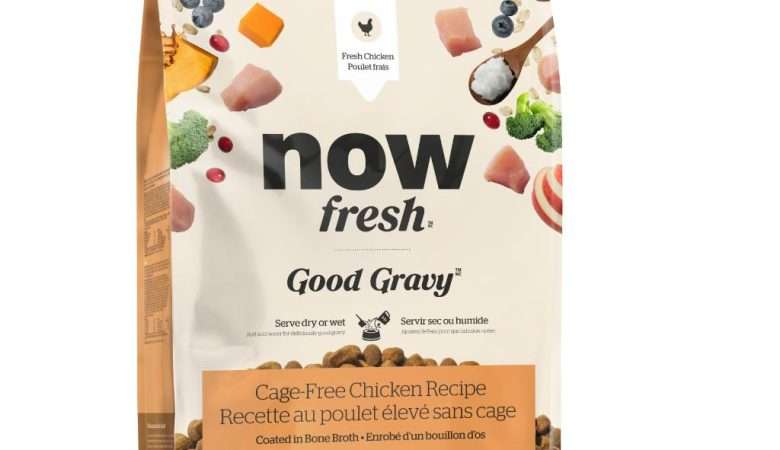 NOW Dog Good Gravy Adult Chicken