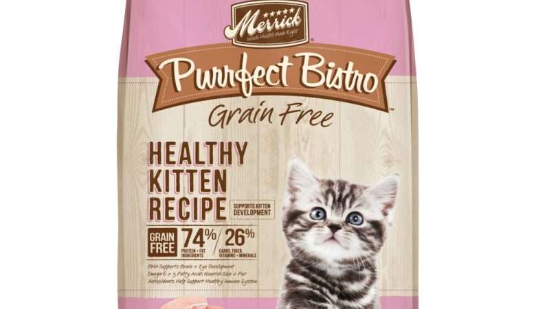 Merrick Cat Real Chicken Healthy Recipe for Kitten
