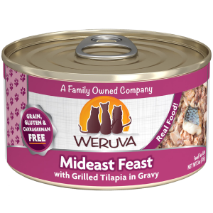 Cat Mideast Feast