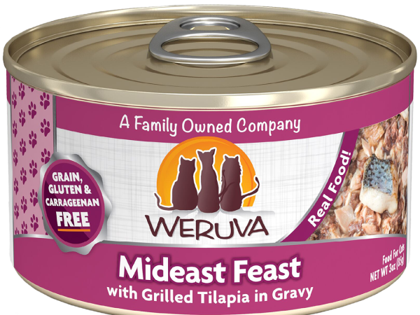 Cat Mideast Feast