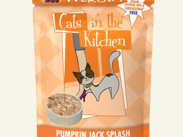 Cats in the Kitchen Pumpkin Jack Splash