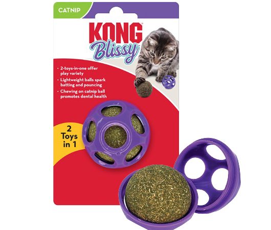 Kong Blissy Ball