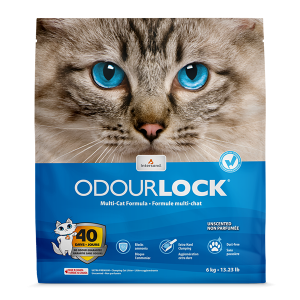 Intersand OdourLock Unscented Original Litter