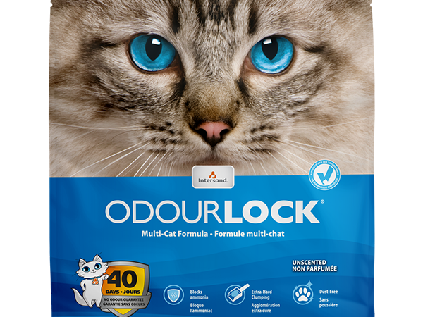 Intersand OdourLock Unscented Original Litter