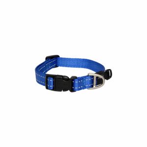 Classic Collar Blue