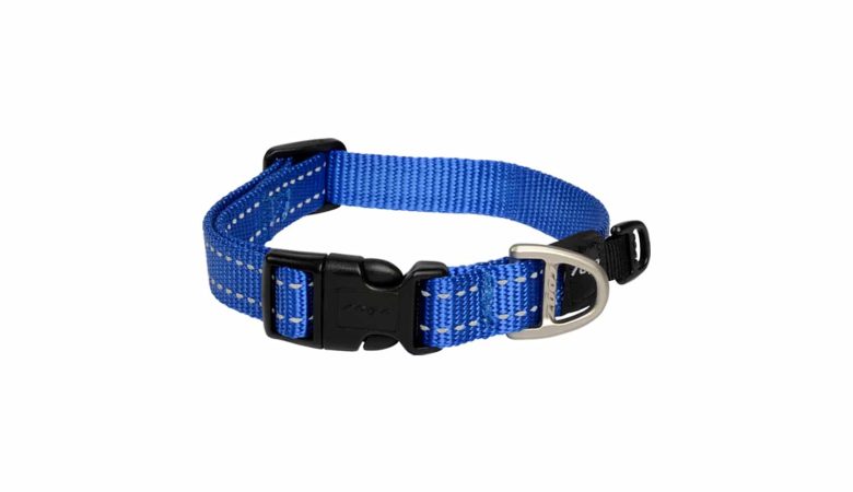Classic Collar Blue