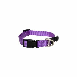 Classic Collar Purple