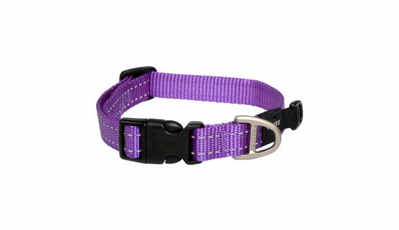 Classic Collar Purple