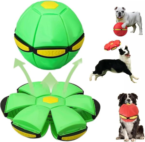 UFO Throwing Dog Ball