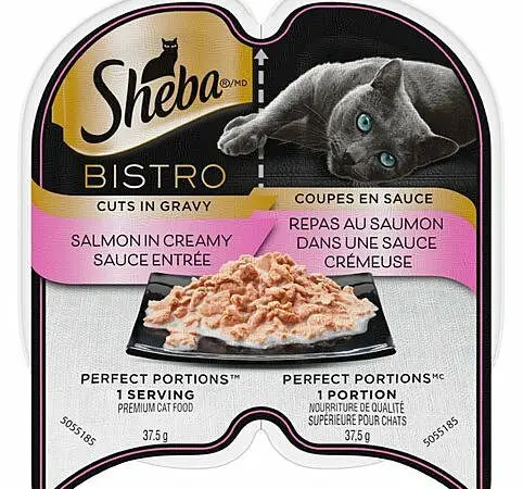 Sheba Salmon in Creamy Sauce