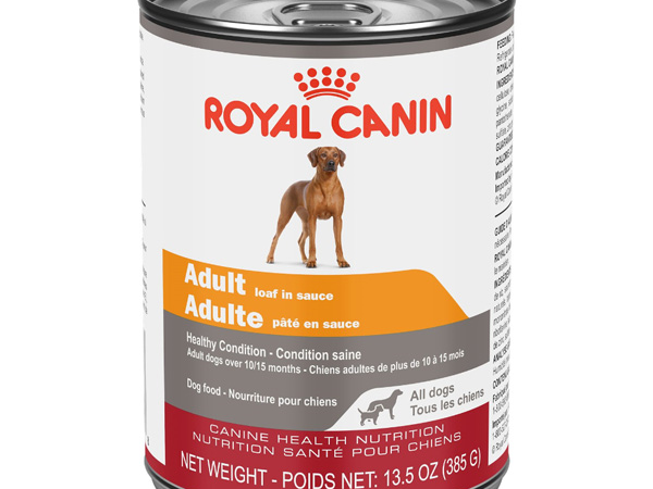 Royal Canin Adult Loaf in Sauce