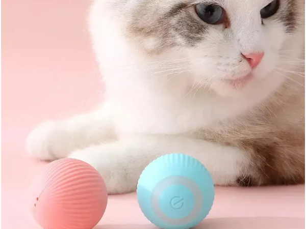 Rechargable Multidirectional Cat Ball