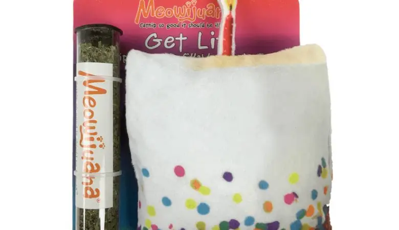 Meowijuana Get Lit Birthday Cake