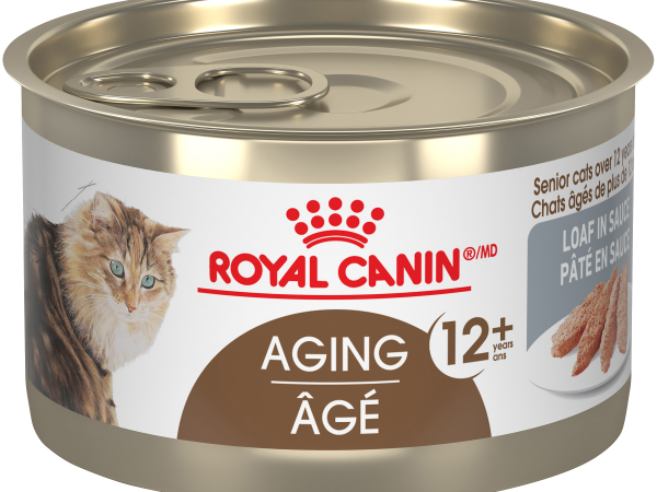 Royal Canin Aging 12+ Wet Cat Food 5.1OZ