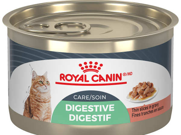 Royal Canin Digestive Care Wet Cat Food