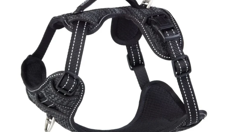 Utility Explore Harness Black, Large