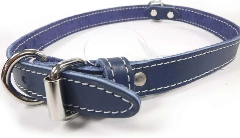Collar – Single Leather – Blue
