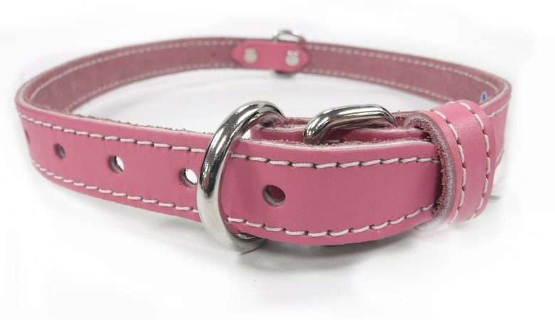 Collar – Single Leather – Pink