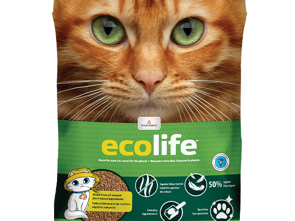Intersand Cat Litter Ecolife 5.5 kg