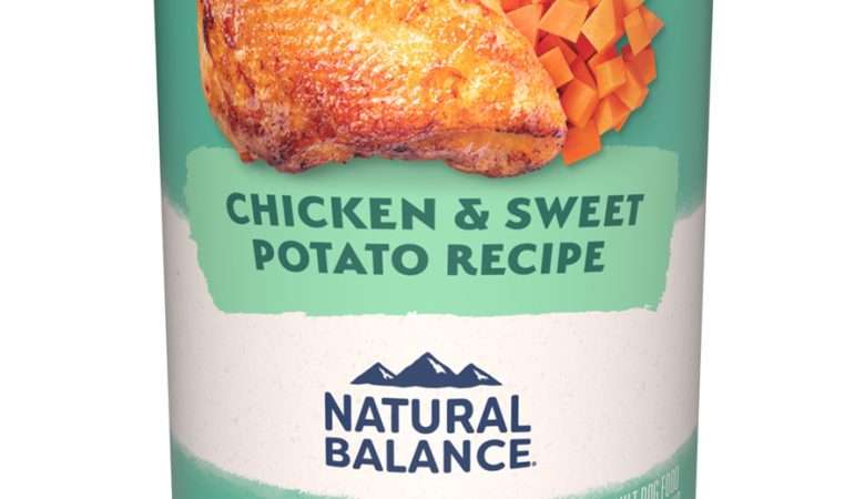 Natural Balance Dog Lamb, Potato, Brown Rice and Carrots Wet Dog Food 13oz