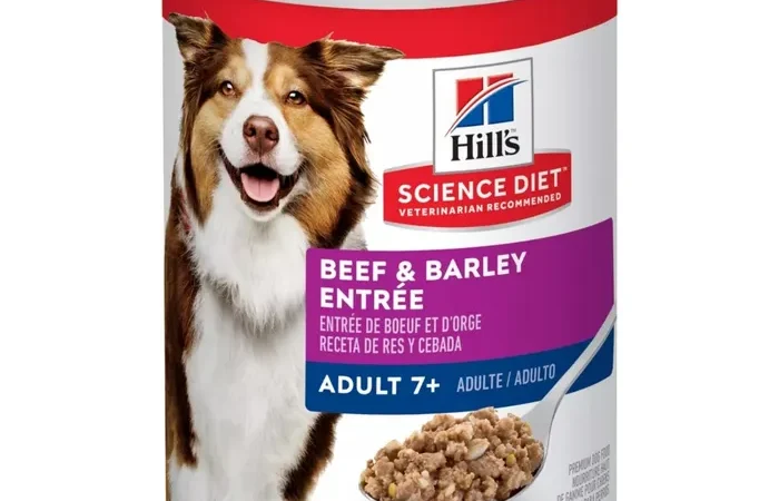 Hill’s Science Diet Adult 7+ Wet Dog Food – Beef & Barley Entrée, 13oz