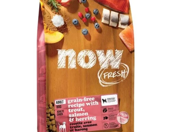 Now Fresh Grain-Free Fish Recipe for Adult Dogs – Trout, Salmon, & Herring
