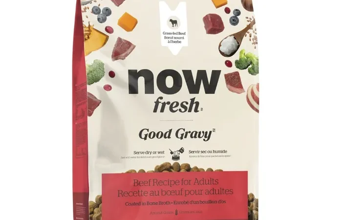 Now Fresh Good Gravy Recipe for Adult Dogs – Beef Coated in Bone Broth