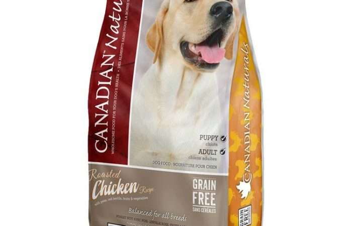Canadian Naturals Roasted Chicken Recipe Dog Food 11lb