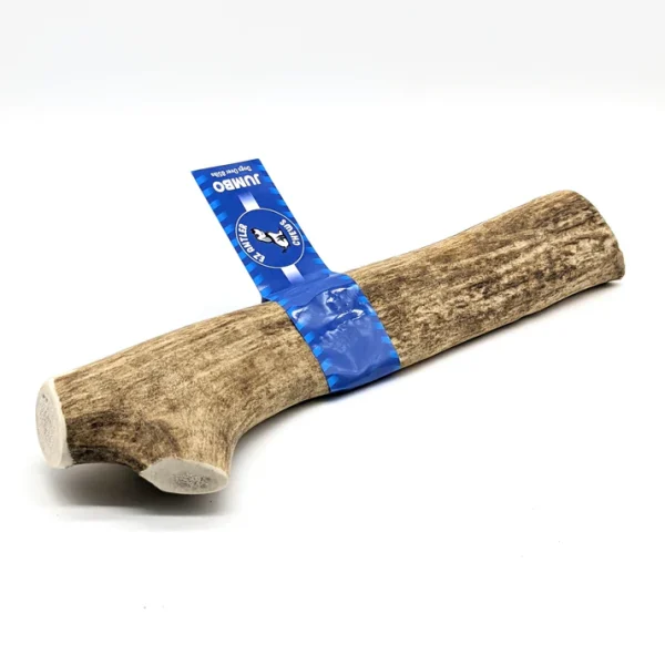 Elk WHOLE Antler Chews