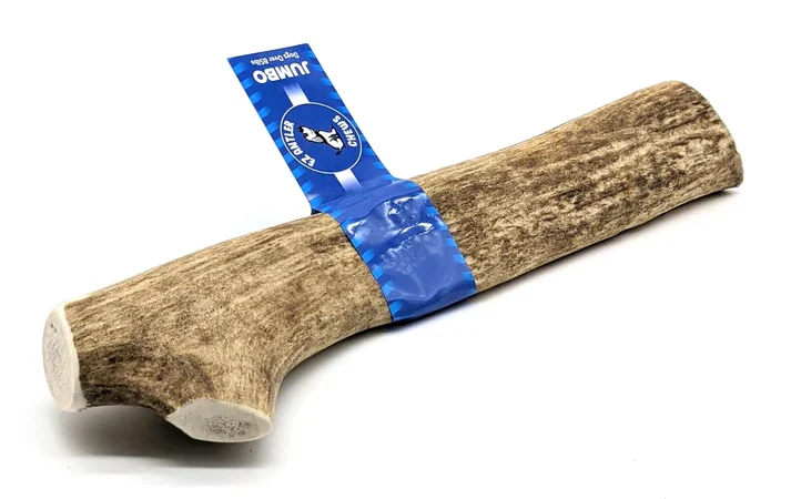 Elk WHOLE Antler Chews