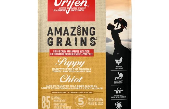 Orijen Amazing Grains Dry Dog Food – Puppy, 21.3lb