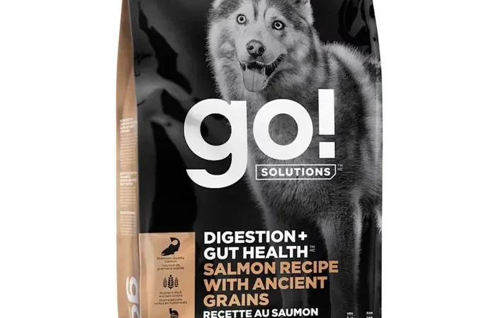 Go! Solutions | Digestion + Gut Health Dry Food for Dogs – Salmon w Ancient Grains Recipe