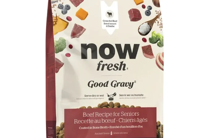 Now Fresh Good Gravy Recipe for Senior Dogs – Beef Coated in Bone Broth